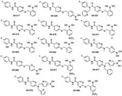 Figure imgf000078_0001