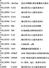 Figure BDA0000057170160001991