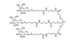 Figure imgf000058_0001