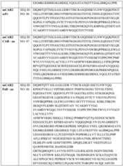 Figure imgf000154_0001