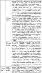 Figure BDA0004033970230004951