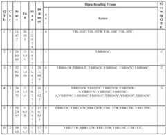 Figure imgf000053_0002