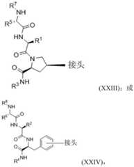 Figure BDA0003027048450000301