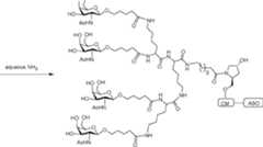 Figure AU2017203436B2_D0412