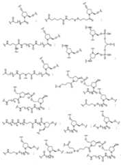 Figure 0007429103000045