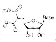 Figure imgf000211_0001