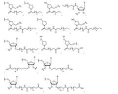 Figure 2023500681000005