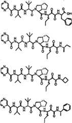 Figure BSA00000606821201272