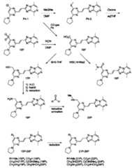 Figure JPOXMLDOC01-appb-C000161