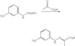 Figure US07645789-20100112-C00682