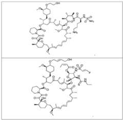 Figure imgf000078_0002