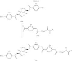 Figure US08388860-20130305-C00012