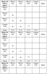 Figure imgf000182_0002