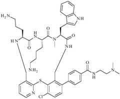 Figure BDA0001640213710005811
