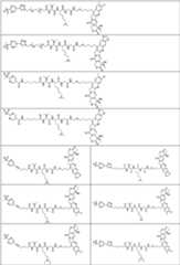 Figure PCTCN2022073822-appb-000365