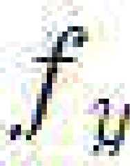 Figure 112021110569919-pat00038