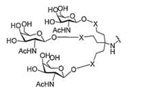 Figure 0007429103000200