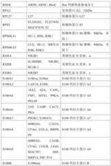 Figure BDA0001878096640000811