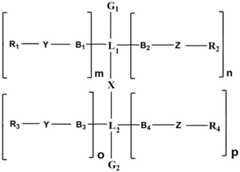 Figure BDA0002860779240000031