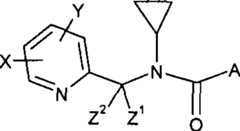 Figure S200680016144XD00291