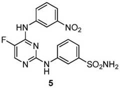 Figure BDA0001453135130002391