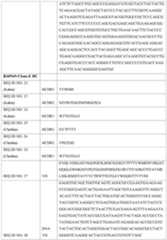 Figure imgf000186_0001