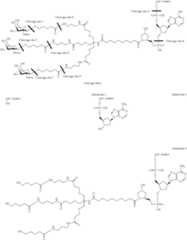 Figure US09957292-20180501-C00254