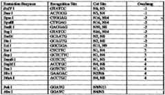 Figure imgf000036_0001