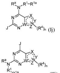Figure imgf000019_0003