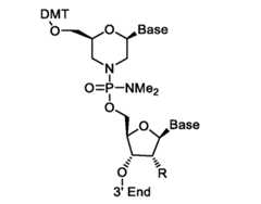 Figure imgf000024_0001