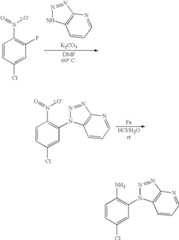 Figure US07776877-20100817-C00198