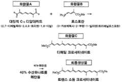 Figure 112007066804814-pct00001