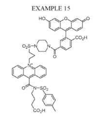 Figure imgf000071_0002