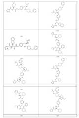 Figure 109103773-A0305-02-0061-170