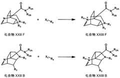 Figure JPOXMLDOC01-appb-C000036