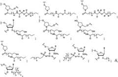 Figure BDA0003746740800000081