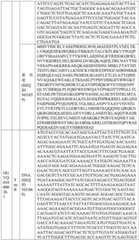 Figure BDA0004033970230007121