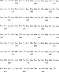 Figure C03824846D01261