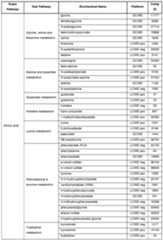 Figure imgf000038_0001