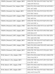 Figure imgf000046_0001