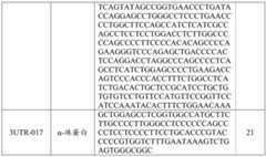 Figure BDA0002572923940000731