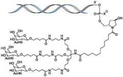 Figure FDA0003644862330000022