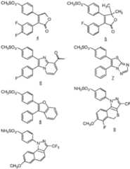 Figure imgf000008_0001