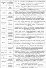 Figure PCTCN2022090268-appb-000098