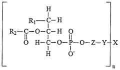 Figure imgf000177_0001
