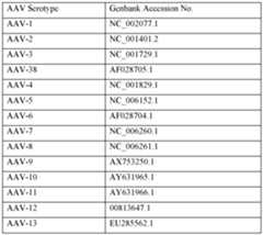 Figure imgf000064_0001