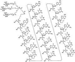 Figure GDA0003564942560001161