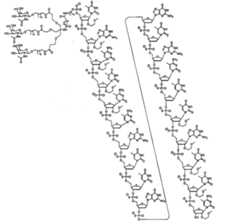 Figure 0007429103000536