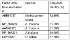 Figure imgf000018_0002