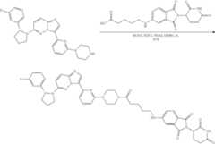 Figure US11969472-20240430-C00272